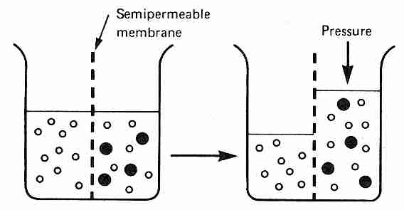 Pressure can prevent osmosis