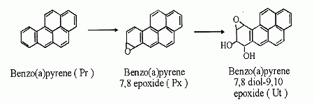 [Epoxide Formation Near the Bay Region]