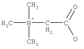 Betaine (TMG)