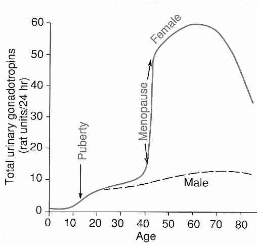 Cholesterol