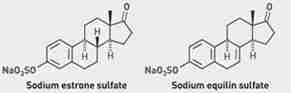 Major Horse Estrogens