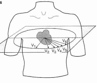 [ precordial axes ]