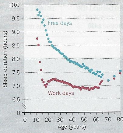 Sleep on work-days and free-days