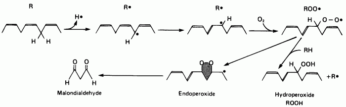 [ LIPID PEROXIDATION FORMING MDA]