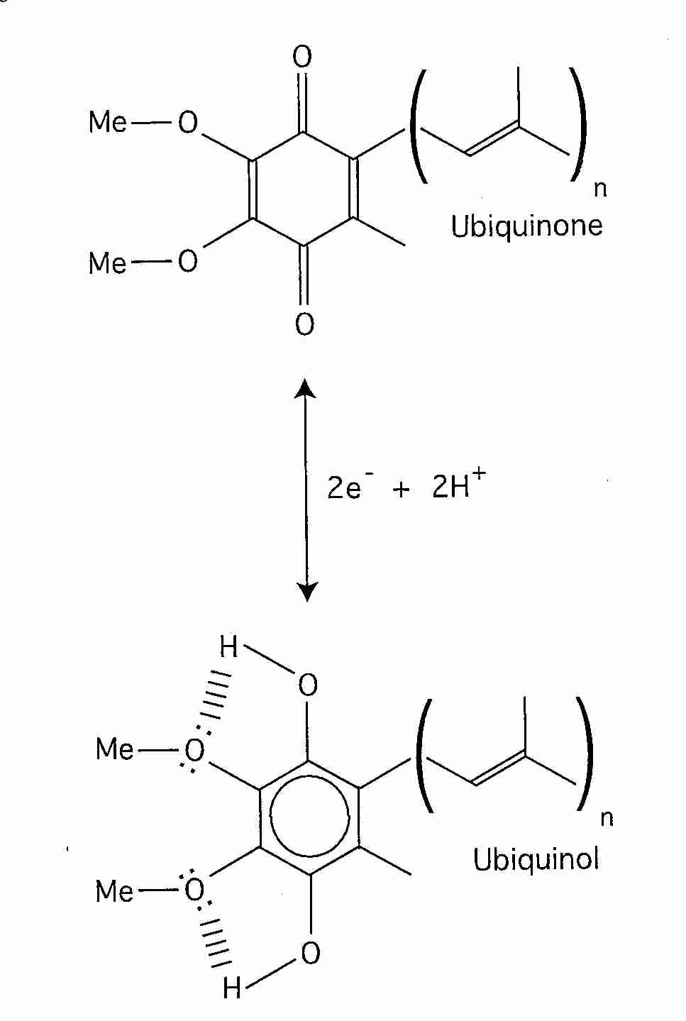 CoQ<SUB>10</SUB> Redox (Reduction/Oxidation)